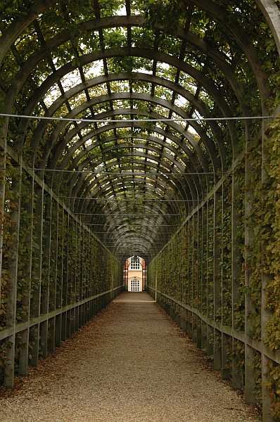 Photo - Dans le parc d'Hampton Court Palace