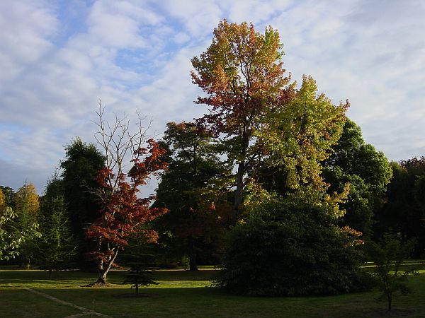 Photo - Sheffield Garden
