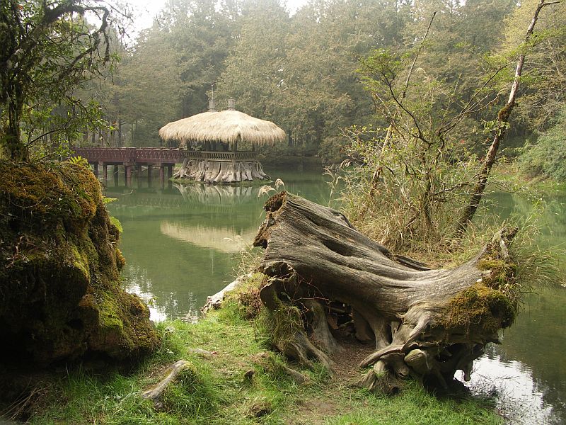 Photo - Alishan - The Two Sisters Pond
